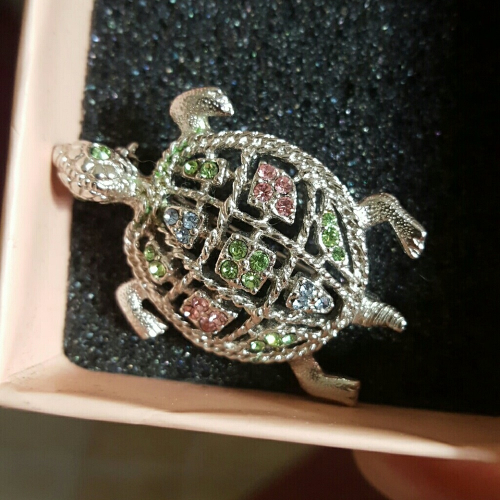 Stone turtle pin